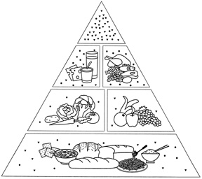 Two-Dimensional Food Pyramid