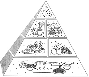 food pyramid for kids drawing  Clip Art Library
